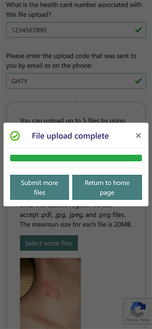 Screen capture of esfam.ca file confirmation.